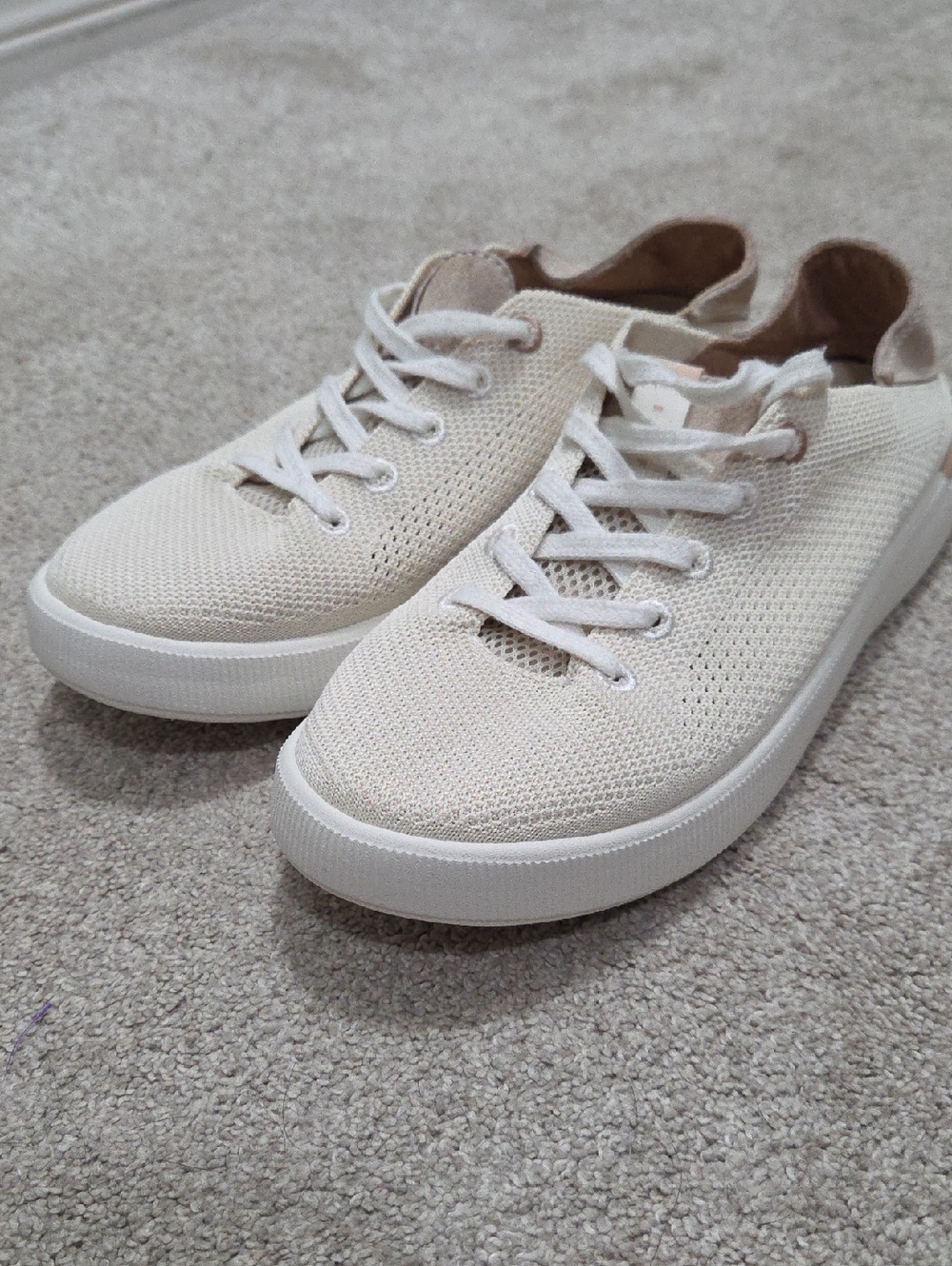 Reef Neptune Shoes